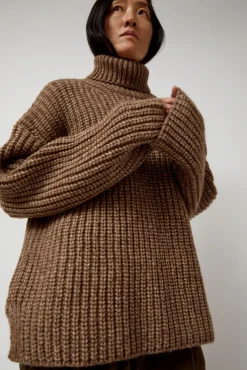 Fashion Alpaca Rib Turtleneck in Brown Sweaters|Clothing
